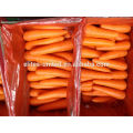 Chinese fresh carrot price